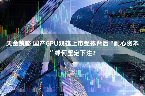 天金策略 国产GPU双雄上市受捧背后“耐心资本”缘何坚定下注？