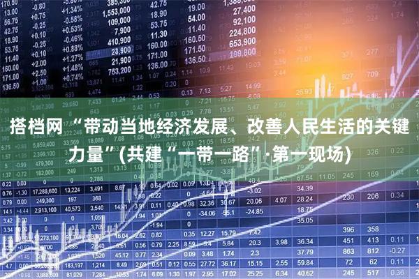 搭档网 “带动当地经济发展、改善人民生活的关键力量”(共建“一带一路”·第一现场)
