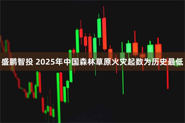 盛鹏智投 2025年中国森林草原火灾起数为历史最低